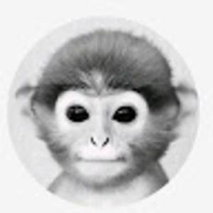 Meet your Posher, Jerry